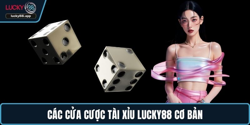 Các cửa cược tài xỉu LUCKY88 cơ bản
